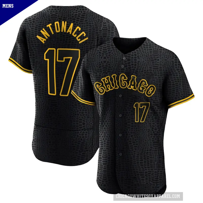 Men's No.17 Sam Antonacci Chicago White Sox Black Authentic Snake Skin City Jersey