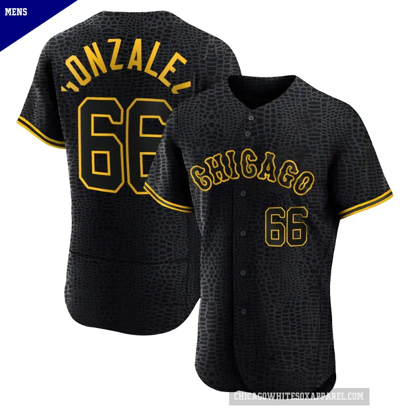 Men's No.66 Wikelman Gonzalez Chicago White Sox Black Authentic Snake Skin City Jersey