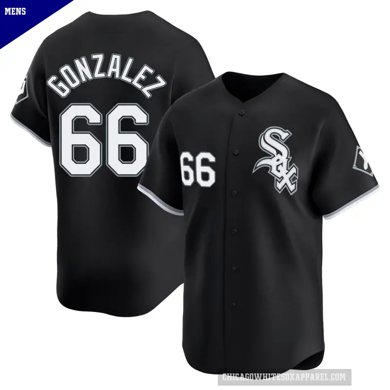 Men's No.66 Wikelman Gonzalez Chicago White Sox Black Limited Alternate Jersey