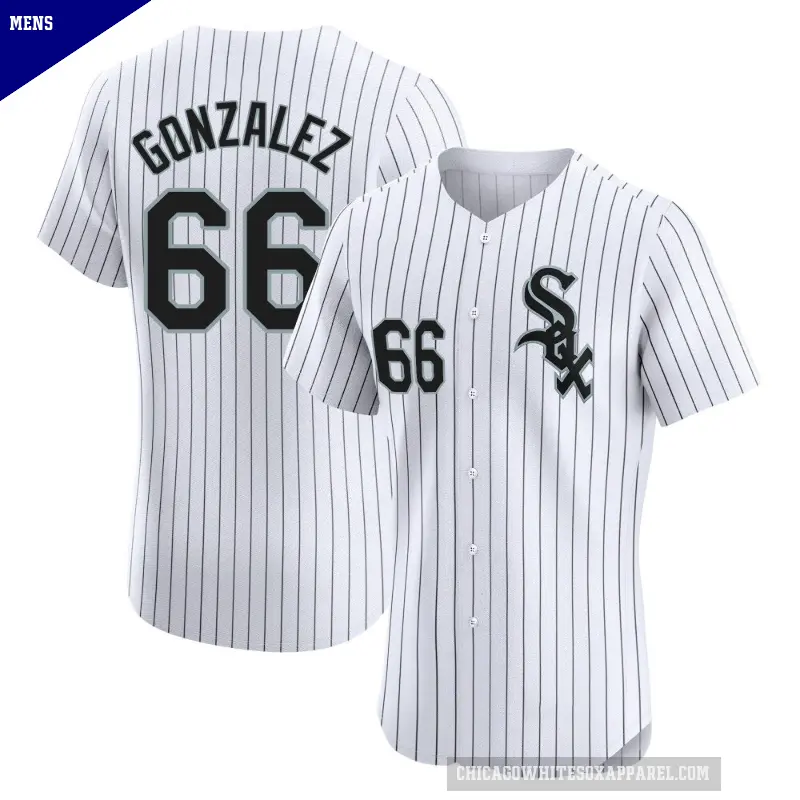 Men's No.66 Wikelman Gonzalez Chicago White Sox White Elite Home Jersey
