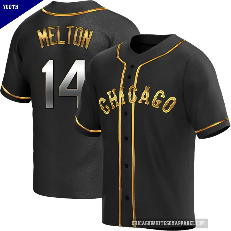 Youth No.14 Bill Melton Chicago White Sox Gold Replica Black en Alternate Jersey