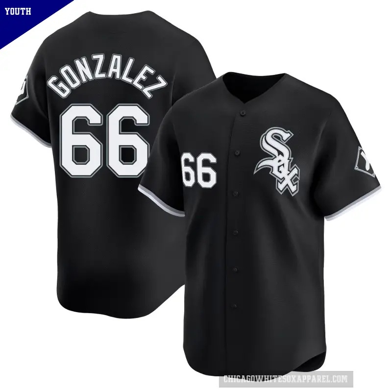 Youth No.66 Wikelman Gonzalez Chicago White Sox Black Limited Alternate Jersey