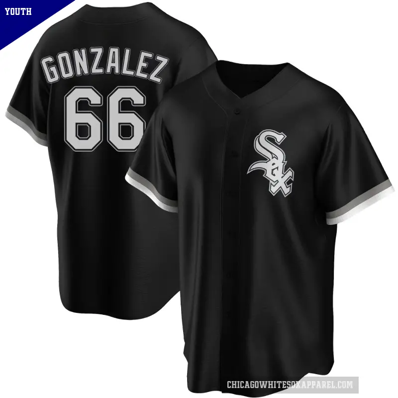 Youth No.66 Wikelman Gonzalez Chicago White Sox Black Replica Alternate Jersey