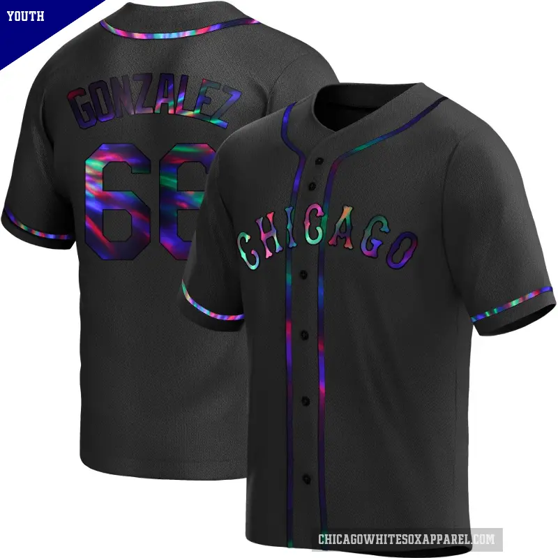 Youth No.66 Wikelman Gonzalez Chicago White Sox Black Replica Holographic Alternate Jersey