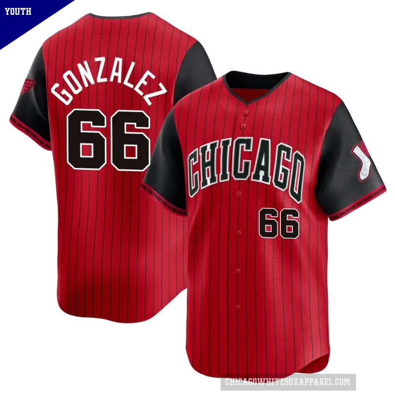 Youth No.66 Wikelman Gonzalez Chicago White Sox Red/Black Limited 2025 City Connect Jersey